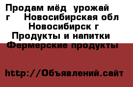 Продам мёд, урожай 2017г. - Новосибирская обл., Новосибирск г. Продукты и напитки » Фермерские продукты   